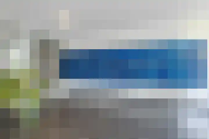 De Rekere 76 Bergen (NH) thumbnail 6