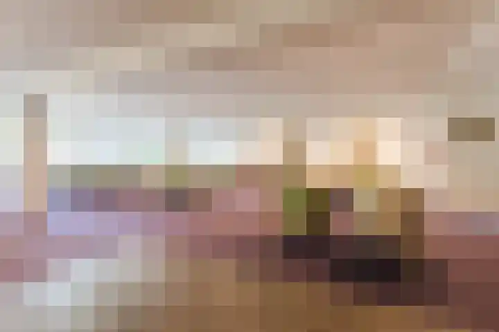 De Rekere 76 Bergen (NH) thumbnail 7