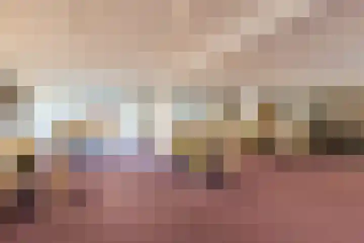 De Rekere 76 Bergen (NH) thumbnail 8