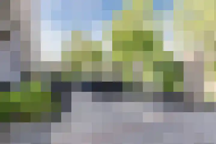 De Rekere 76 Bergen (NH) thumbnail 9
