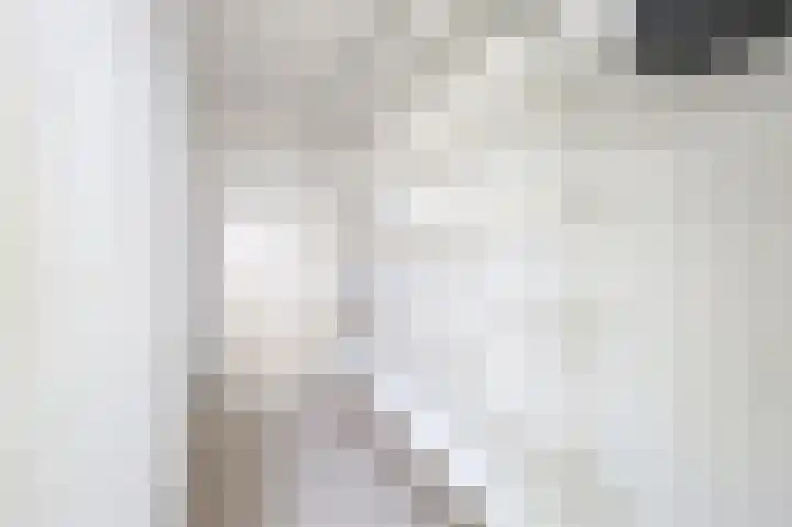 De Rekere 77 Bergen (NH) thumbnail 15