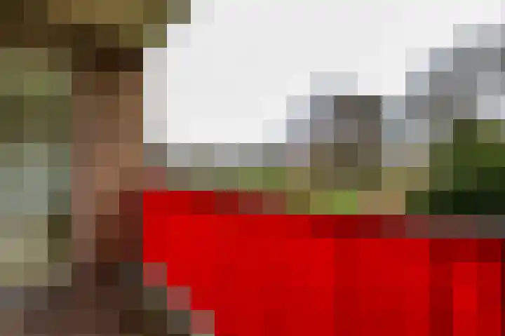 De Rekere 77 Bergen (NH) thumbnail 17