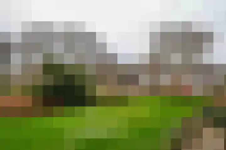 De Rekere 77 Bergen (NH) thumbnail 18
