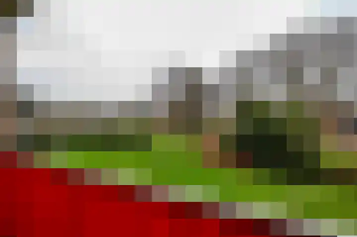 De Rekere 77 Bergen (NH) thumbnail 4