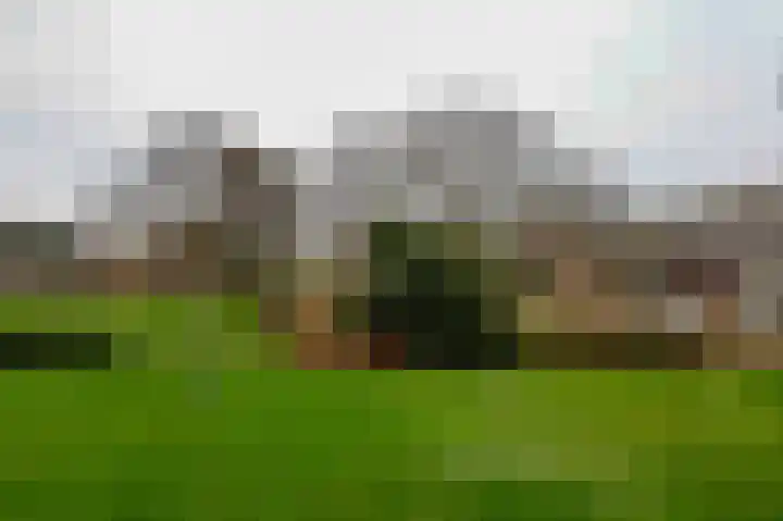 De Rekere 77 Bergen (NH) thumbnail 5