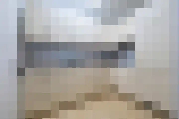 De Rekere 77 Bergen (NH) thumbnail 6
