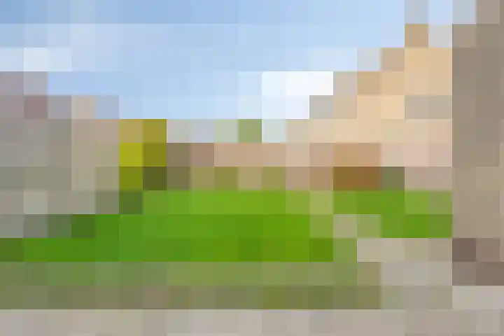 de Reling 31 Heerenveen thumbnail 29