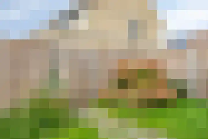 de Reling 31 Heerenveen thumbnail 33