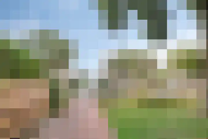 de Reling 31 Heerenveen thumbnail 34