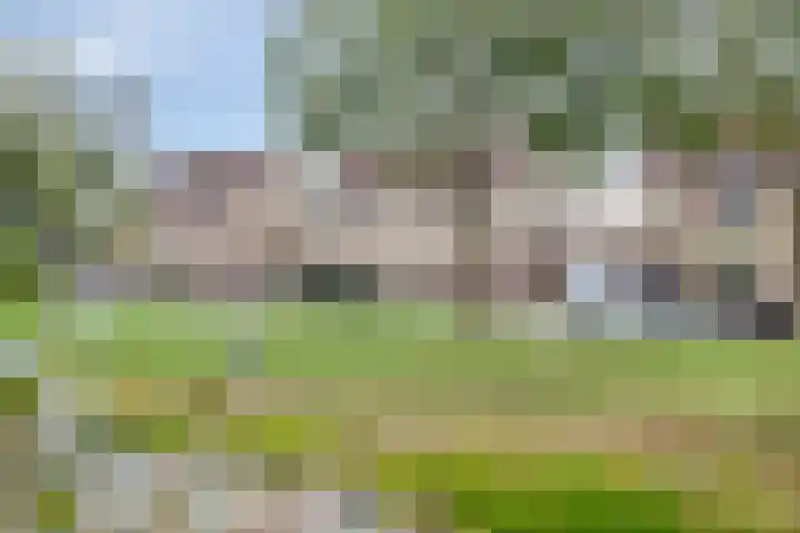 de Reling 31 Heerenveen thumbnail 35