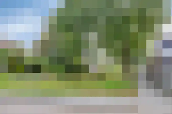 de Reling 31 Heerenveen thumbnail 38
