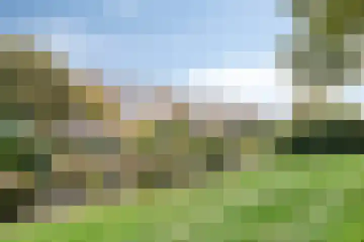 de Reling 31 Heerenveen thumbnail 39