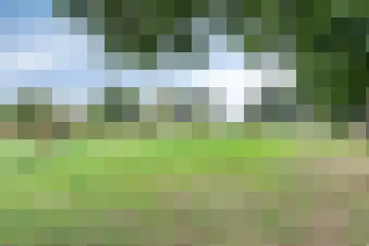 de Reling 31 Heerenveen thumbnail 40
