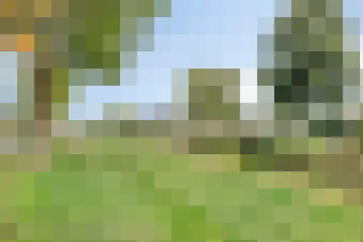 de Reling 31 Heerenveen thumbnail 41