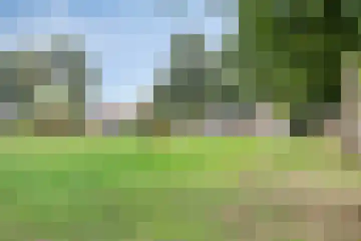 de Reling 31 Heerenveen thumbnail 42