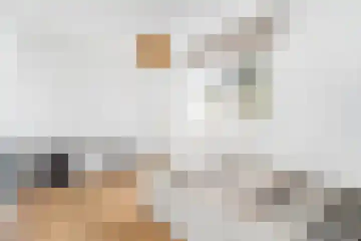 De Remise 10 Amersfoort thumbnail 25