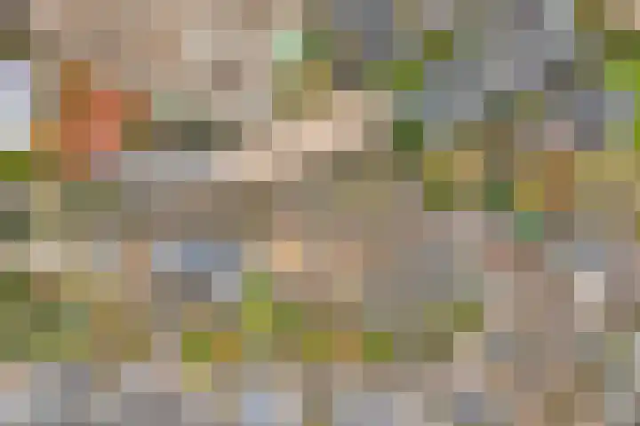 De Remise 10 Amersfoort thumbnail 31