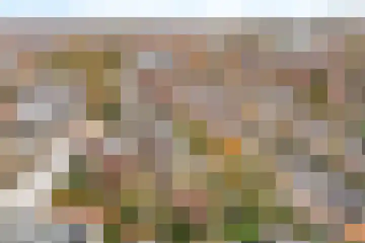 De Remise 10 Amersfoort thumbnail 33