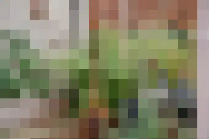 De Remise 10 Amersfoort thumbnail 9
