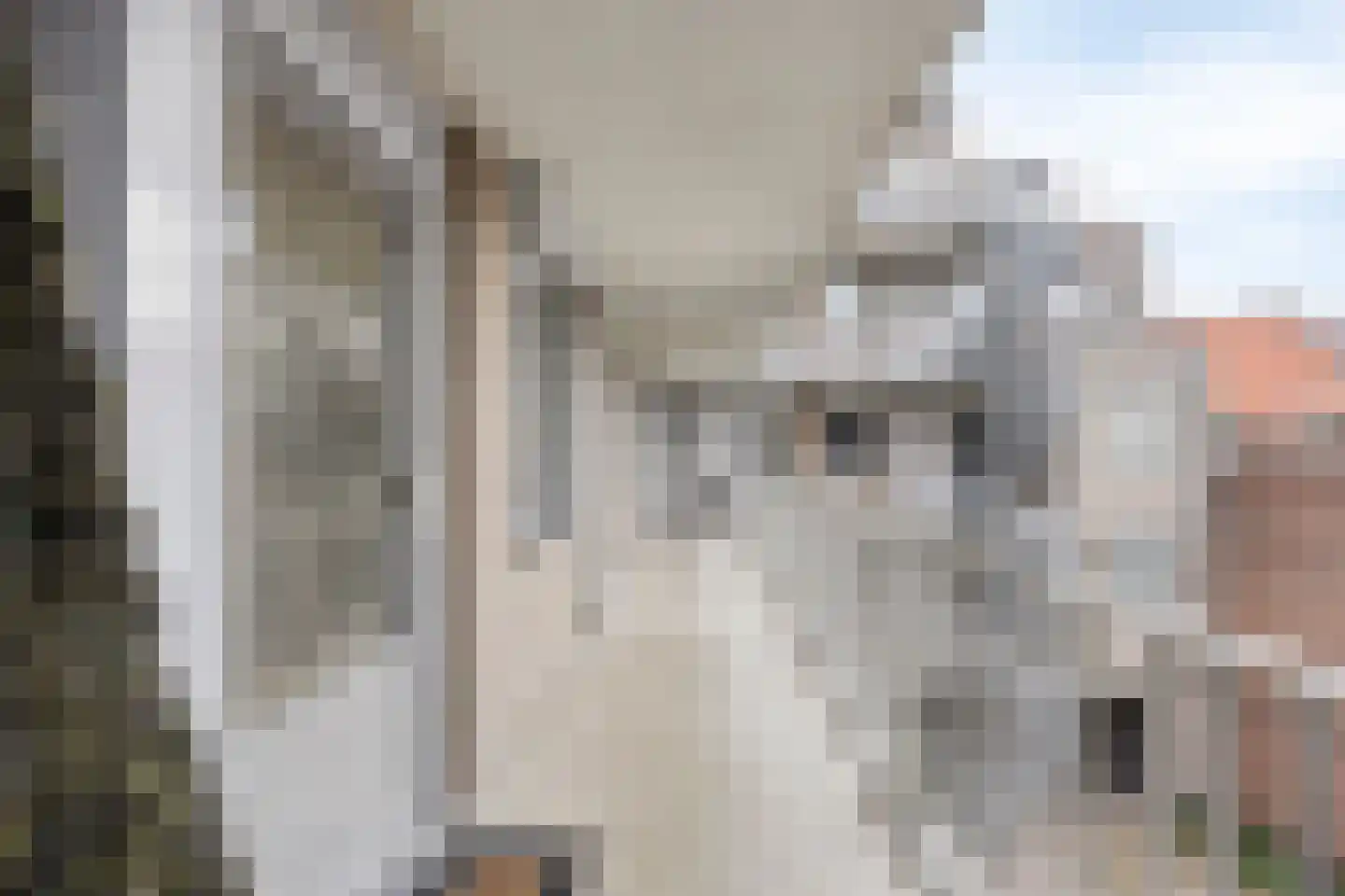 De Remise 12 Eindhoven thumbnail 10