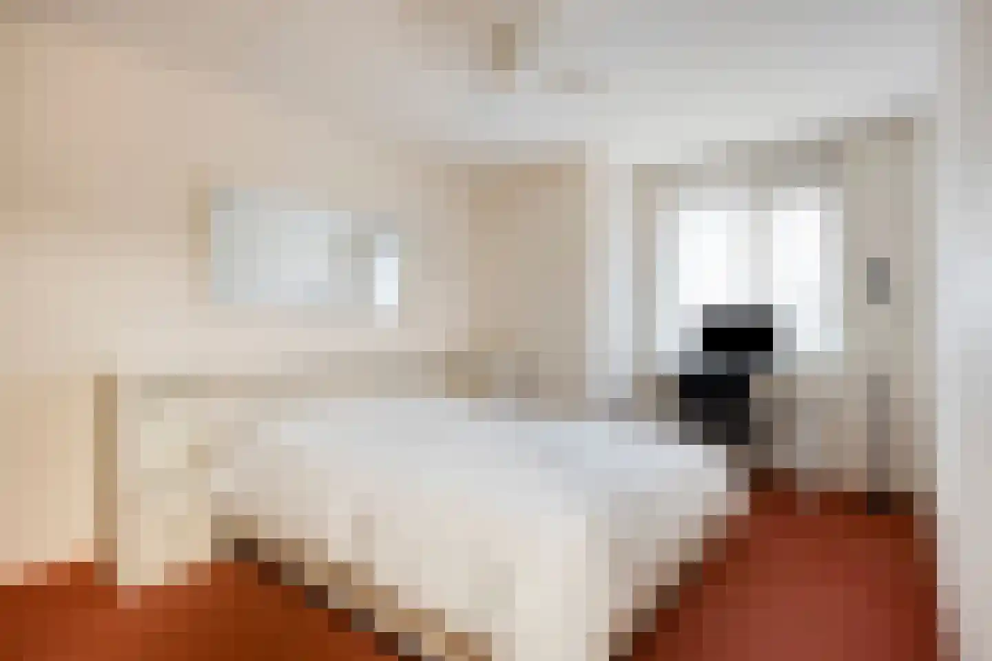 De Remise 12 Eindhoven thumbnail 25