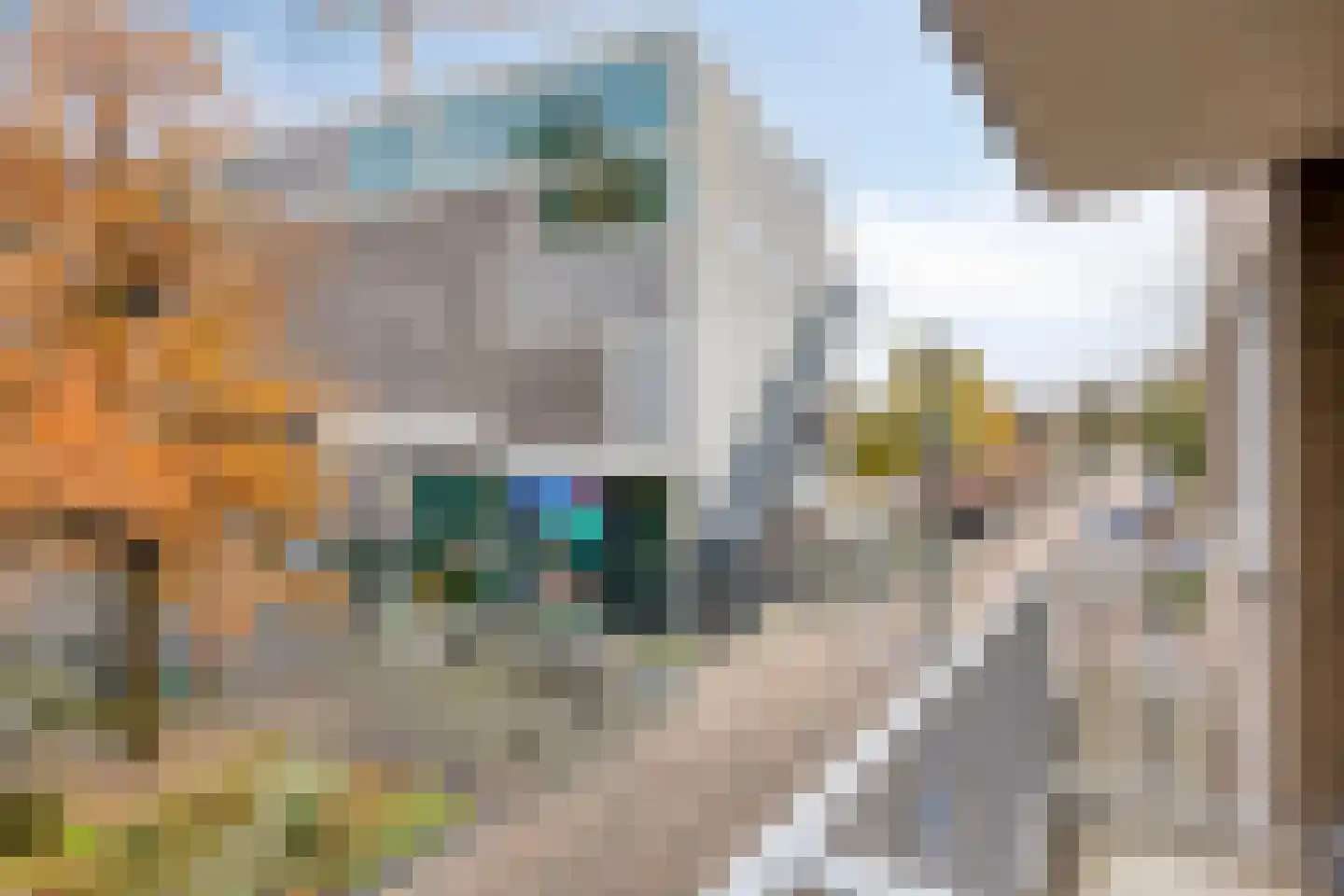 De Remise 12 Eindhoven thumbnail 6