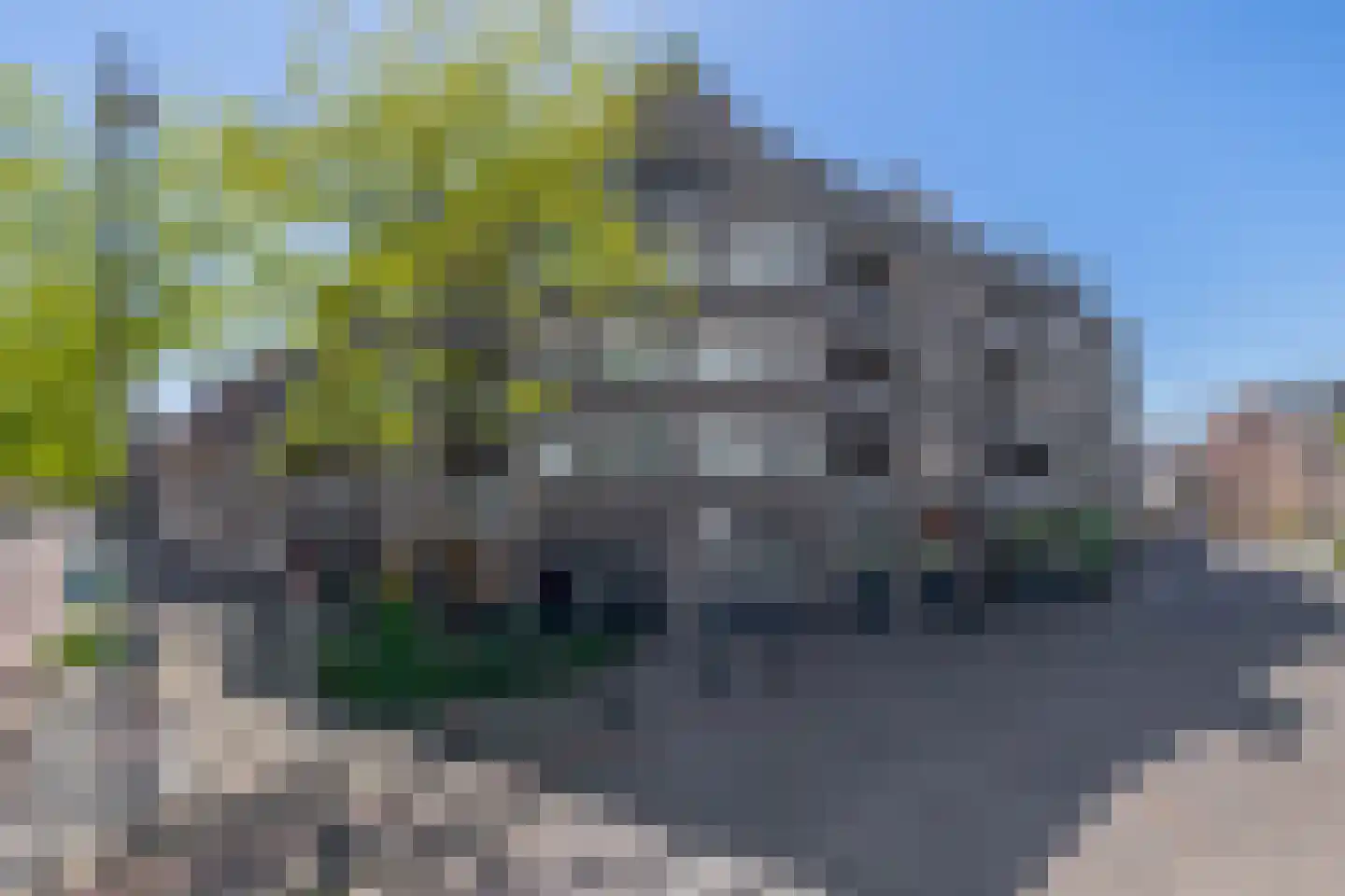 De Remise 6 Eindhoven thumbnail 37