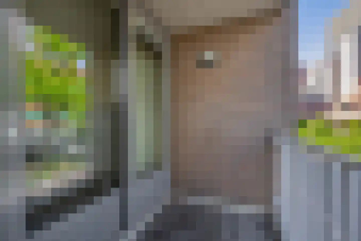 De Remise 6 Eindhoven thumbnail 4