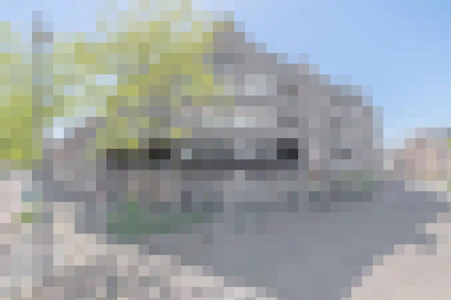De Remise 6 Eindhoven thumbnail 6