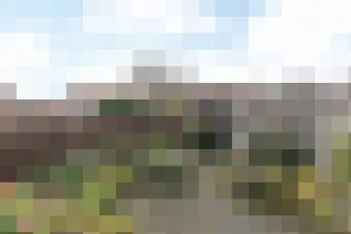 De Remize 6 Stiens thumbnail 27