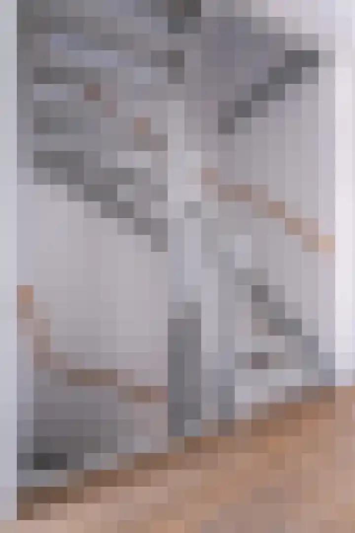 De Remize 6 Stiens thumbnail 28