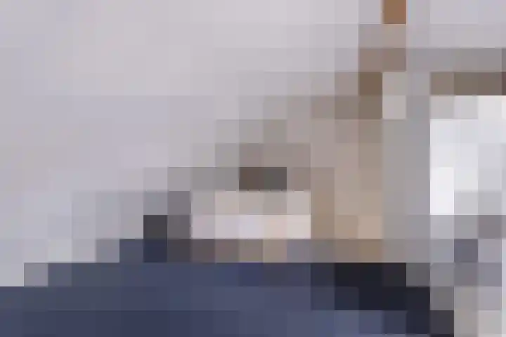 De Remize 6 Stiens thumbnail 36