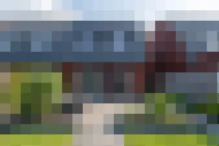 De Remize 6 Stiens thumbnail 43