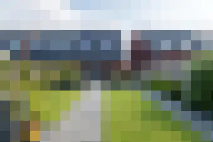 De Remize 6 Stiens thumbnail 44