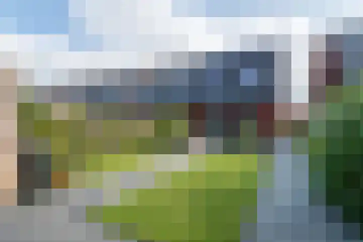 De Remize 6 Stiens thumbnail 45