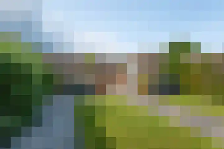 De Remize 6 Stiens thumbnail 46
