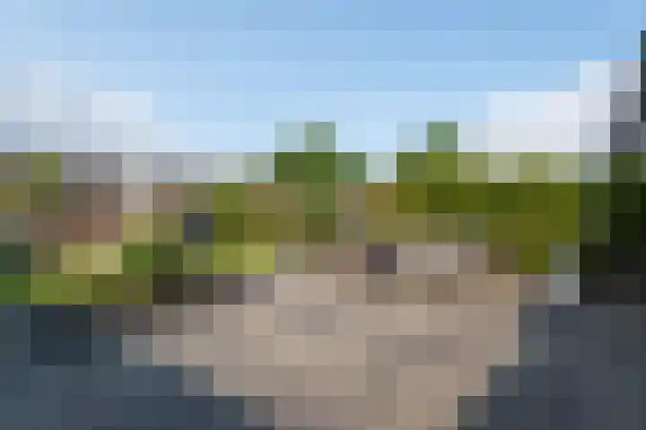 De Remize 6 Stiens thumbnail 47