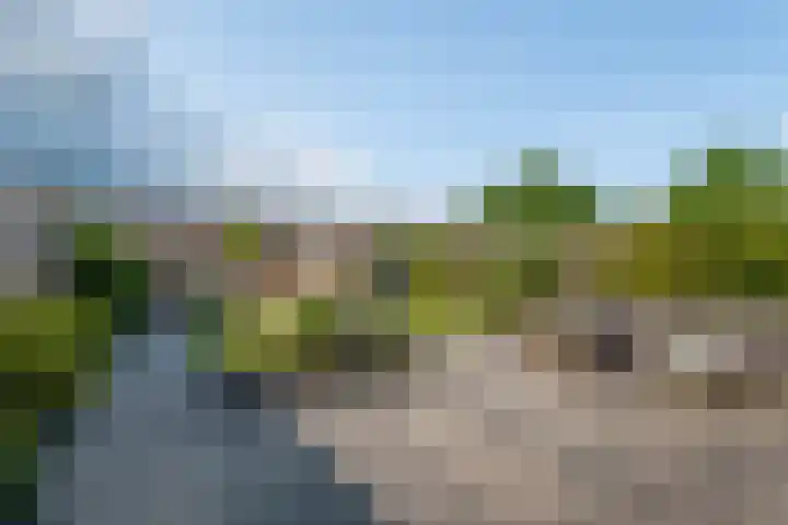 De Remize 6 Stiens thumbnail 48