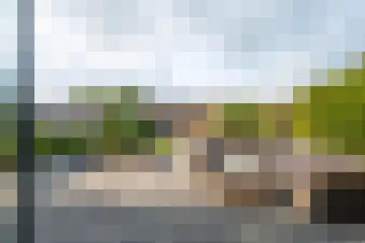 De Remize 6 Stiens thumbnail 49