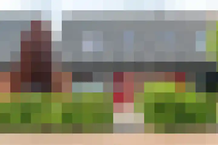 De Remize 6 Stiens thumbnail 5