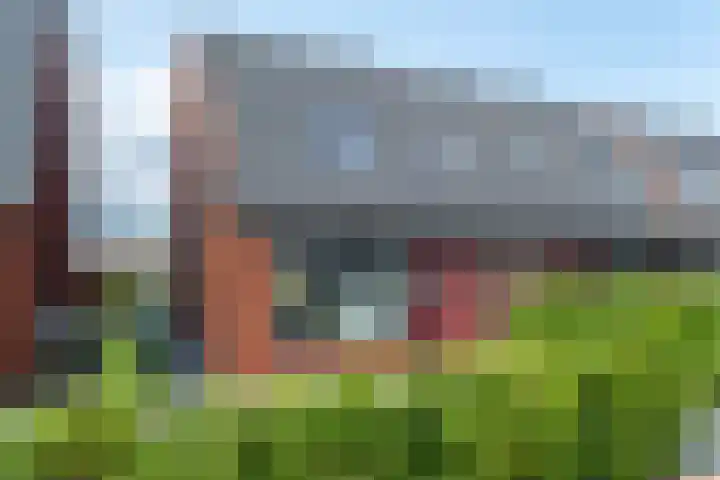 De Remize 6 Stiens thumbnail 7