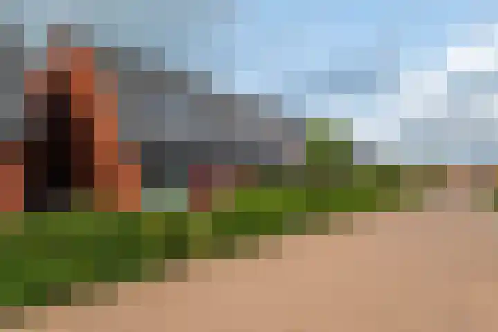 De Remize 6 Stiens thumbnail 8