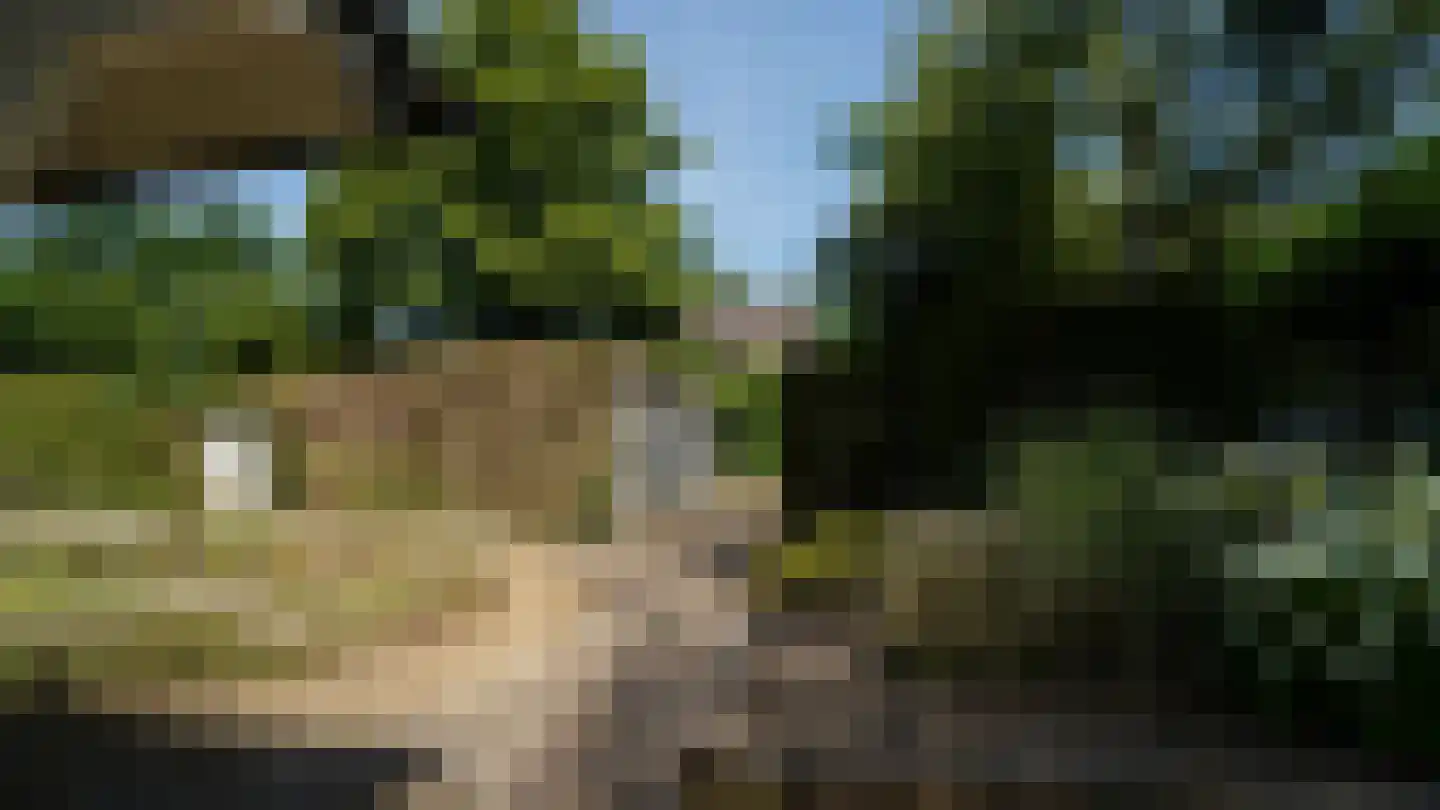 de Renne 9 Helmond thumbnail 12