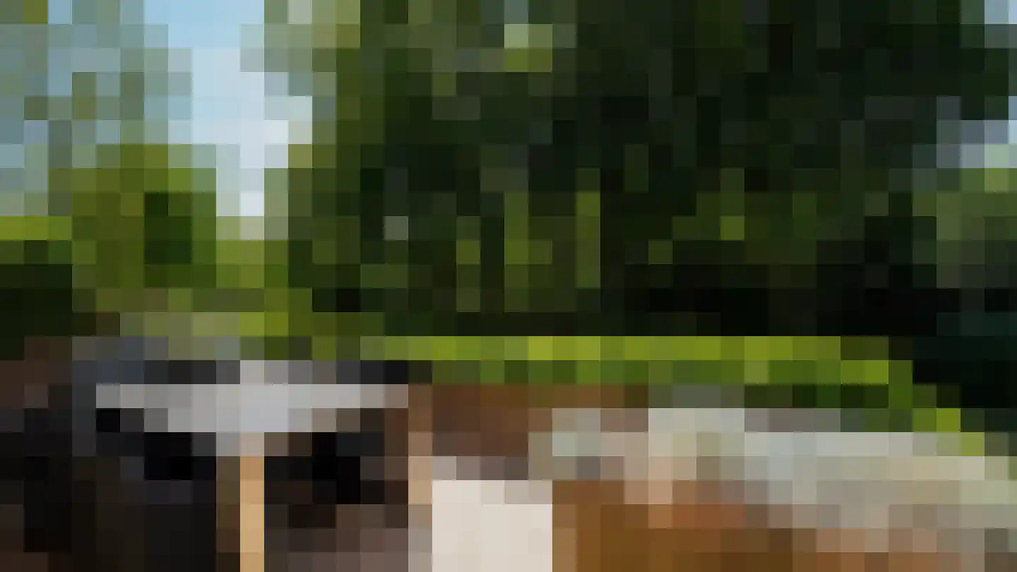 de Renne 9 Helmond thumbnail 13