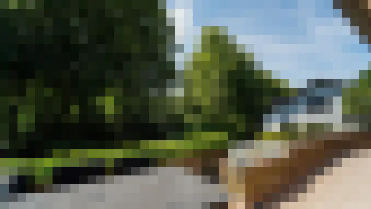 de Renne 9 Helmond thumbnail 14