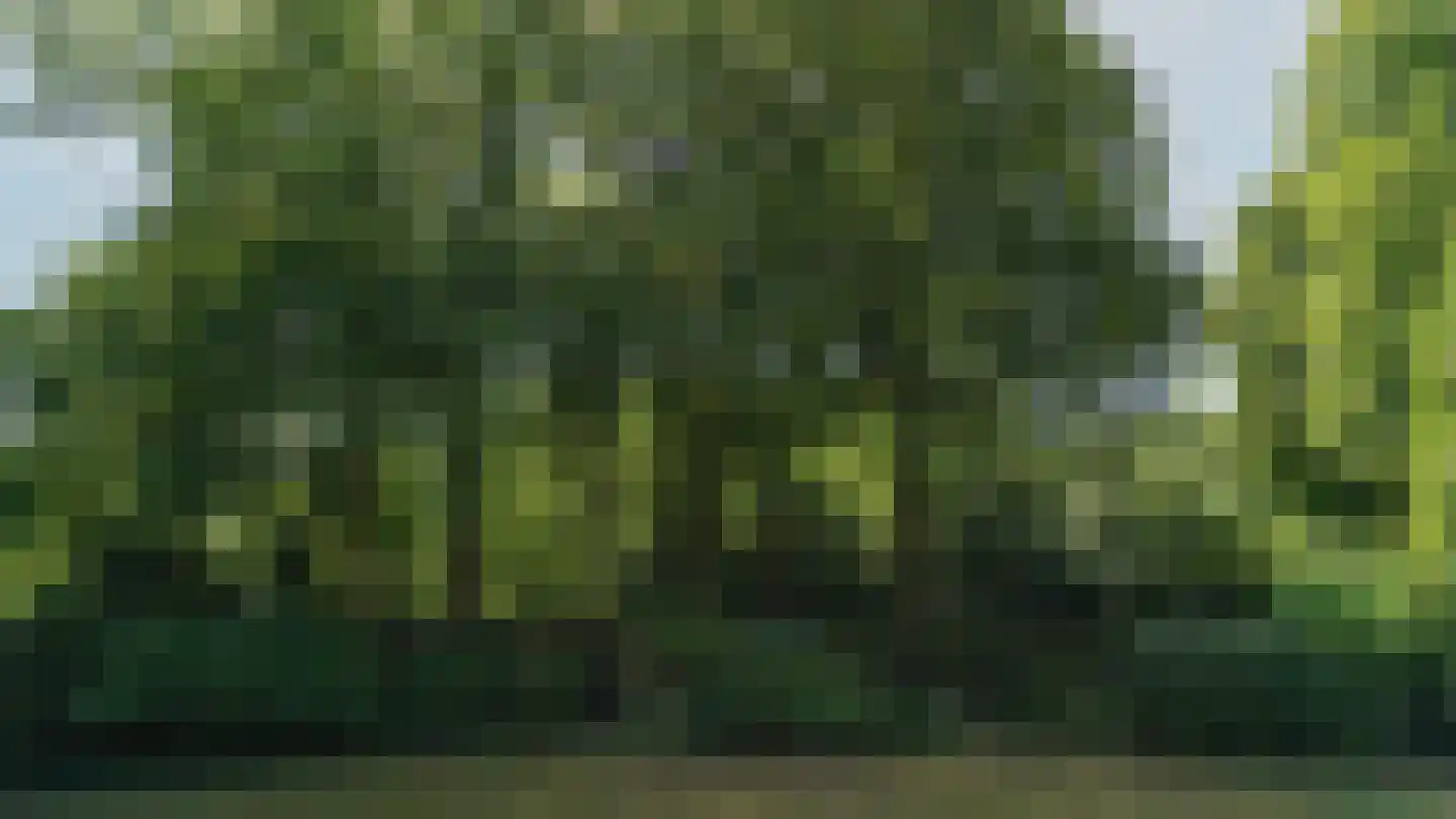 de Renne 9 Helmond thumbnail 16