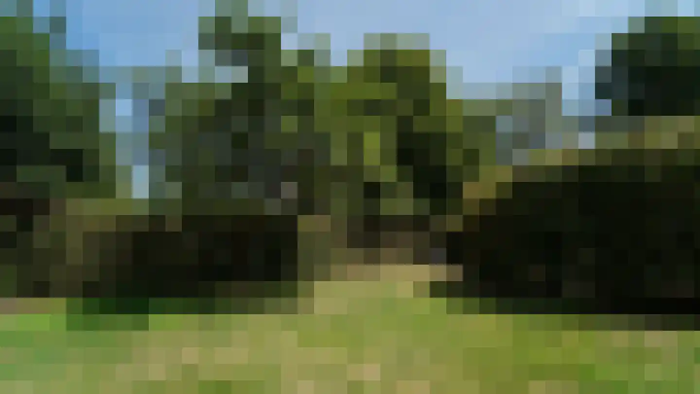 de Renne 9 Helmond thumbnail 17
