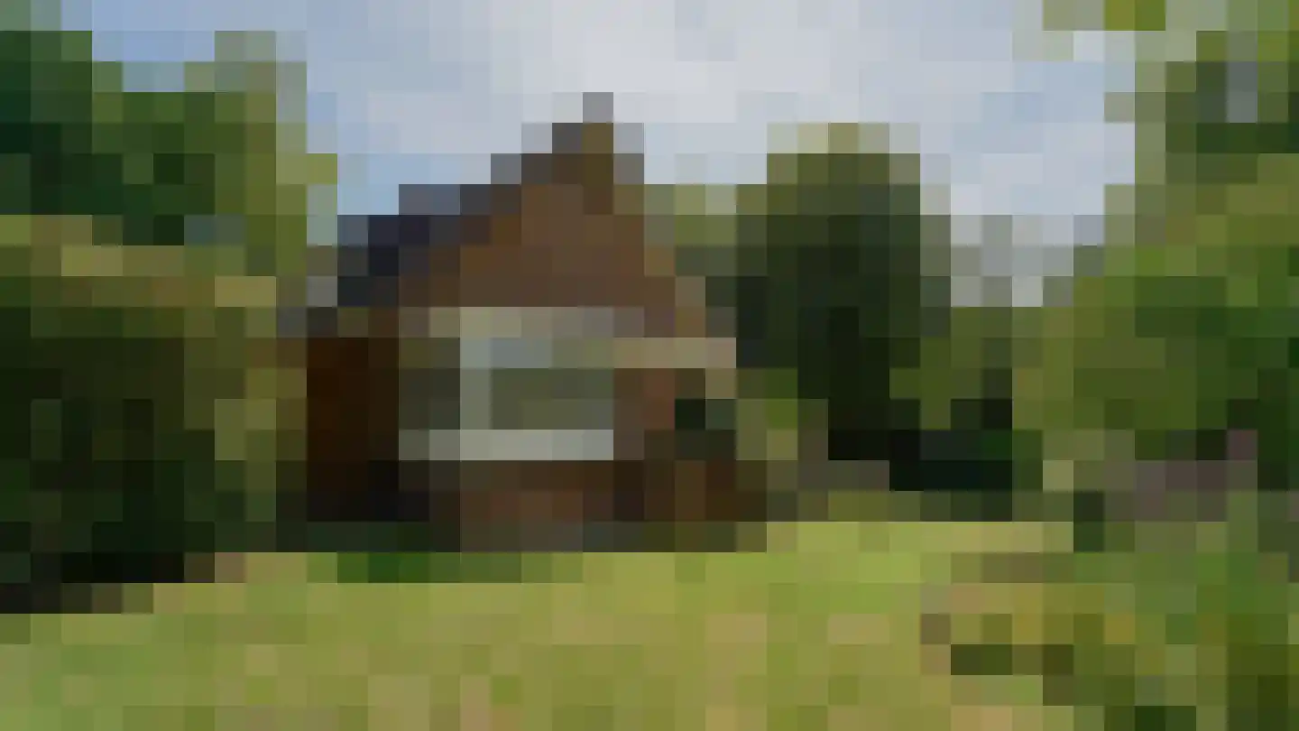 de Renne 9 Helmond foto 2