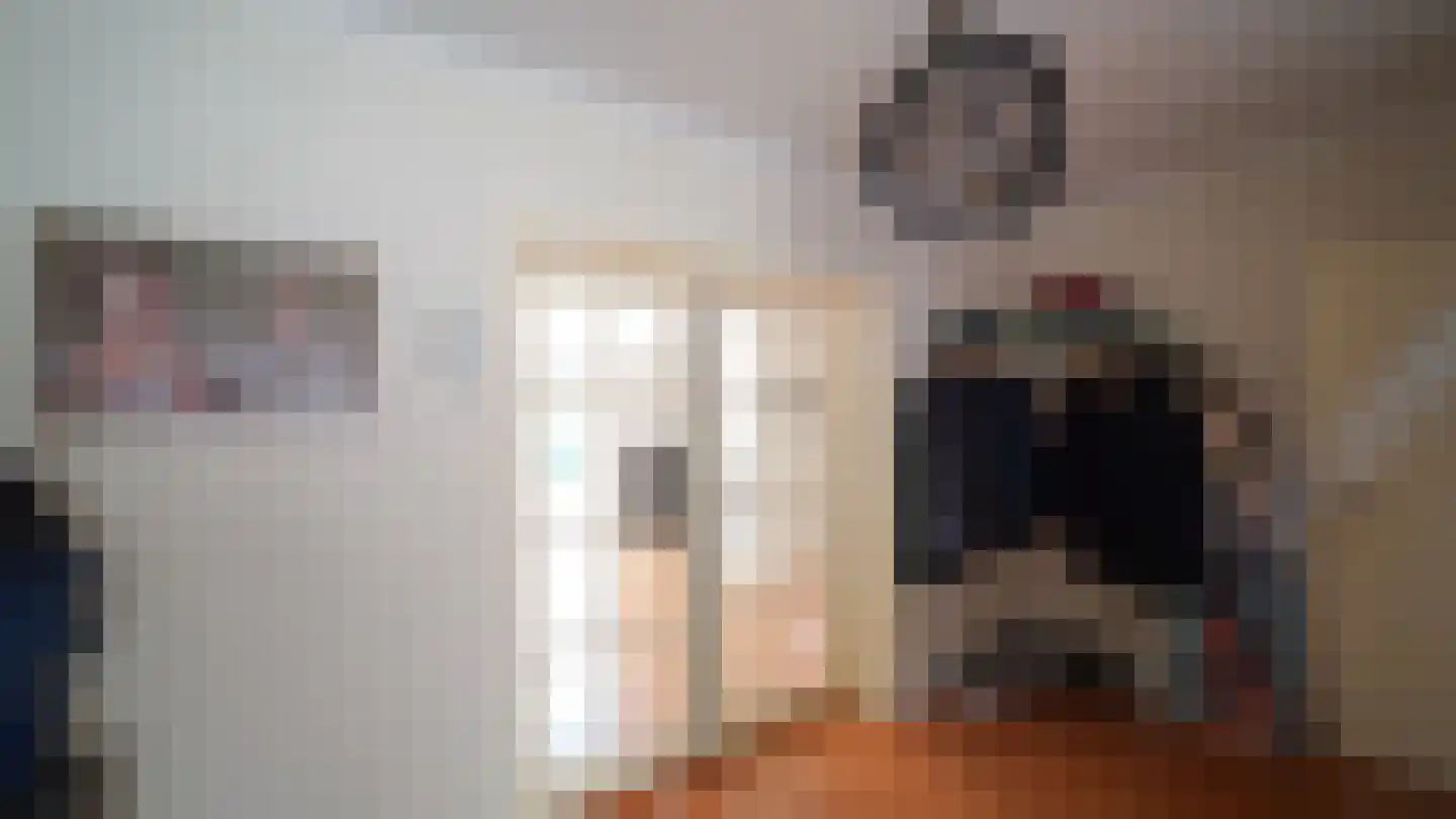 de Renne 9 Helmond thumbnail 22