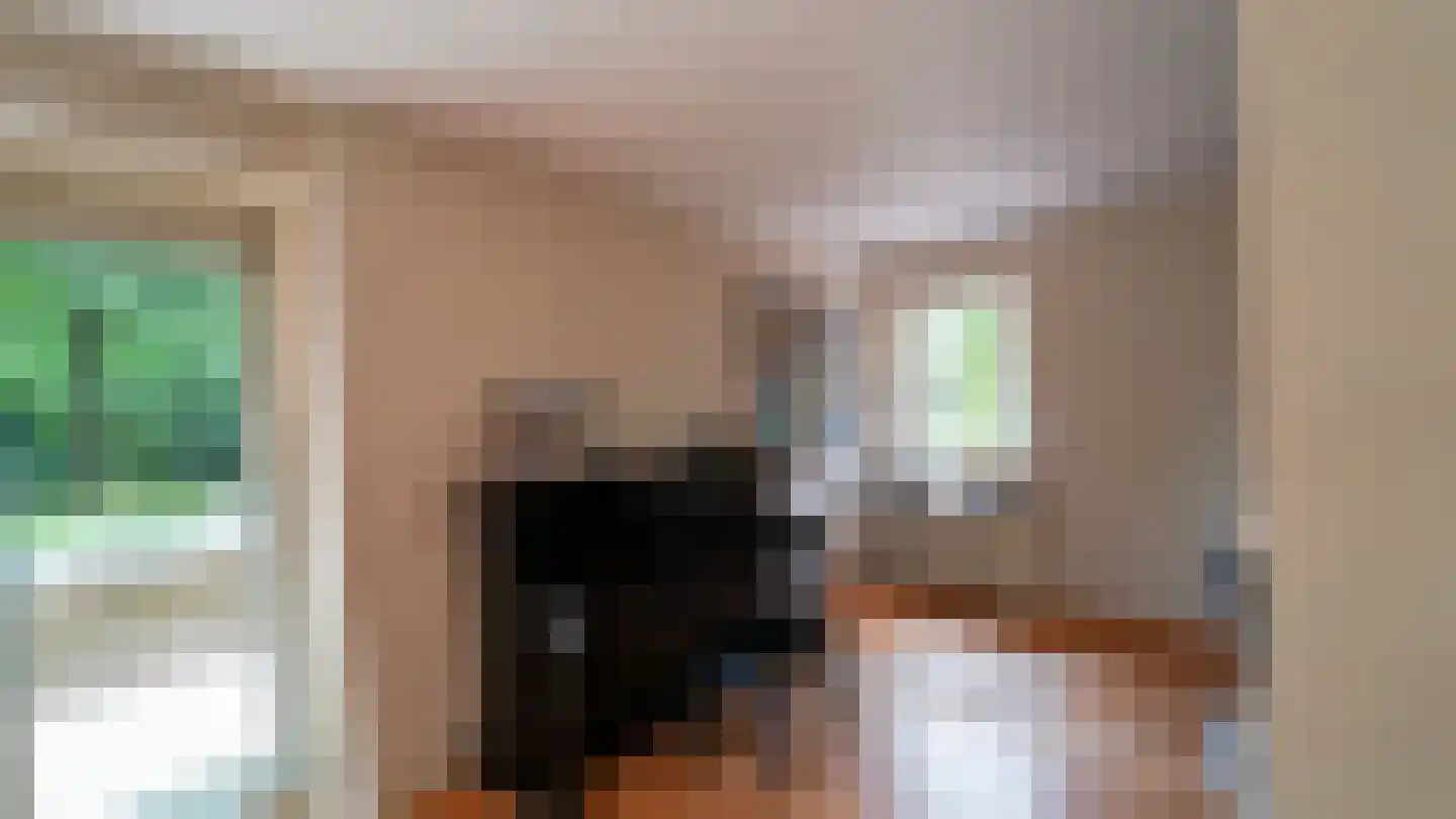 de Renne 9 Helmond thumbnail 30
